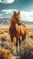 Majestic brown horse standing in a golden desert landscape under a bright blue sky with distant mountains photo
