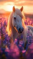 Majestic white horse stands among purple flowers at sunset in a tranquil meadow photo