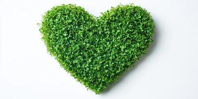Heart-shaped arrangement of fresh green leaves on a white background symbolizing love and nature photo