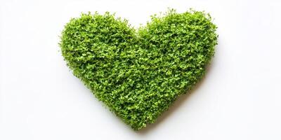 Green heart shape made of lush foliage representing love for nature and environment awareness photo