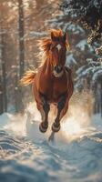 Majestic horse galloping through snow-covered forest at sunset photo