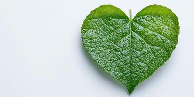 Heart-shaped green leaf on a smooth surface highlighting nature's beauty and simplicity in natural design photo
