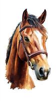 Artistically rendered brown horse head with bridle showcasing detailed features and striking expression photo