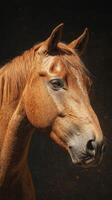 Majestic close-up of a chestnut horse showcasing its elegant features in soft lighting photo