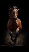 Majestic brown horse galloping in a cloud of dust against a dark background photo