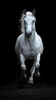 Majestic white horse running in a dark arena capturing raw power and grace in motion photo