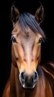 Brown horse with a calm expression standing against a dark background, showcasing its glossy coat and expressive eyes photo