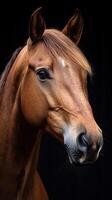 Close-up view of a beautiful chestnut horse in front of a dark background showcasing its features and expression photo