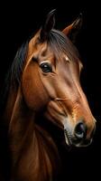 Beautiful brown horse with a glossy coat and expressive eyes against a dark background photo