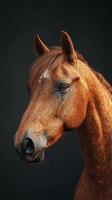 Majestic horse with a rich chestnut coat stands against a dark backdrop capturing the essence of equine beauty and grace photo