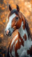 Majestic horse with a striking coat stands gracefully amidst an autumn forest setting at sunset photo