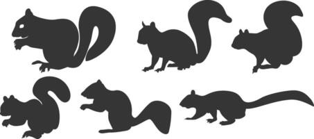 Set of squirrel silhouette illustration vector
