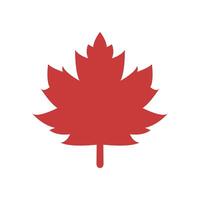 A canadian maple leaf icon on a white background vector