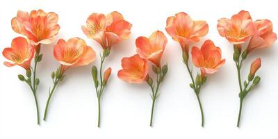 Beautiful orange flowers arranged in a row showcasing vibrant petals and delicate details in a soft background photo