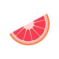A slice of grapefruit on a white background vector