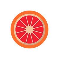 A grapefruit is shown in a flat design vector