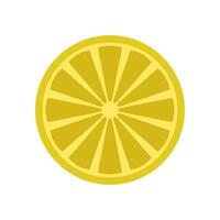 A lemon slice is shown on a white background vector