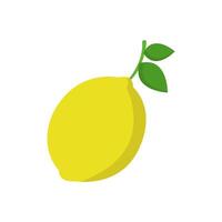 A lemon is shown on a white background vector