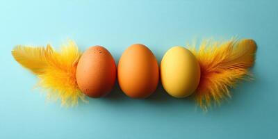 Colorful eggs arranged with yellow feathers on a blue background for a festive celebration photo