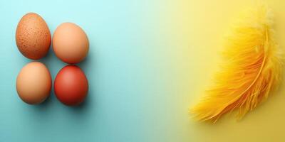 Colorful eggs and a yellow feather arranged on a pastel background for festive celebration photo