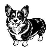 A black and white drawing of a corgi dog vector
