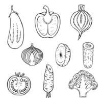 Set of vegetables. Hand drawn illustration in outline style. vector