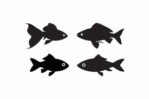 A Guppy fish image. vector