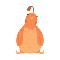Quail Bird with Crest and Feathers in Sitting Pose Illustration vector