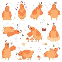 Quail Bird with Crest and Feathers Engaged in Different Activity Set vector
