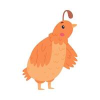 Quail Bird with Crest and Feathers in Standing Pose Illustration vector