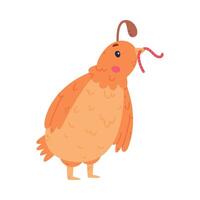 Quail Bird with Crest and Feathers Holding Worm with Its Beak Illustration vector