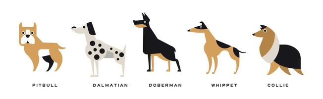 Different Dog Breed Flat Icon and Pictogram with Inscription Set vector