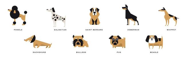 Different Dog Breed Flat Icon and Pictogram with Inscription Set vector