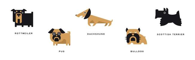 Different Dog Breed Flat Icon and Pictogram with Inscription Set vector