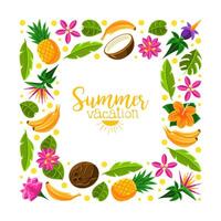 Square frame made of exotic fruits. illustration. vector