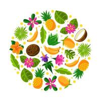 Circle with tropical fruit pattern. illustration on a white background. vector