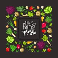 Square frame of root vegetables and greens. illustration. vector
