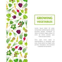 Postcard with the text of the vegetables grown. illustration on a white background. vector