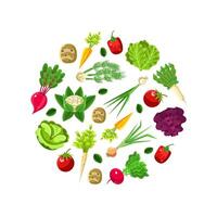 Pattern in the form of a circle of roots. illustration on a white background. vector