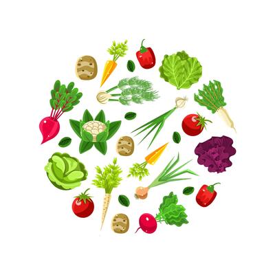 Pattern in the form of a circle of roots. illustration on a white background.