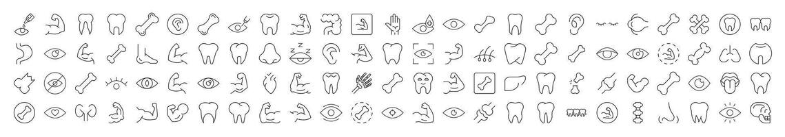 Bundles, Eye, Tooth, Muscle, Internal Organs Minimalistic Pictograms Drawn with Thin Line. Collection of Various Design Elements that Can Be Used for Apps, Articles, Web Sites, Social Media vector