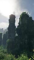 A dense forest with towering rocks and majestic trees video