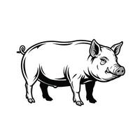 A black and white drawing of a pig vector