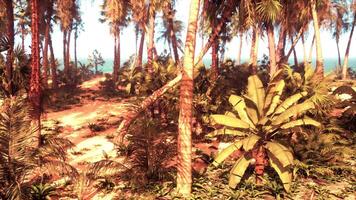 A vibrant tropical painting with palm trees swaying in the breeze video