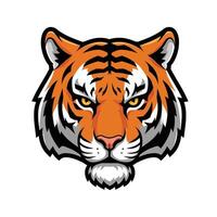 The tiger head is shown on a white background vector