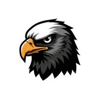 An eagle head with a black beak and yellow beak vector