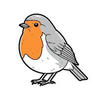 A cartoon robin with orange beak and white chest vector
