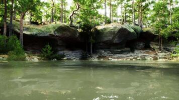 Tranquil Lake Surrounded by Trees and Rocks video
