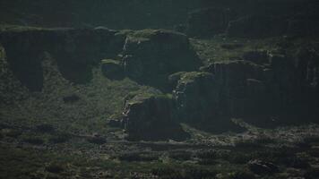 A group of rocks in the middle of a field. mountain path video