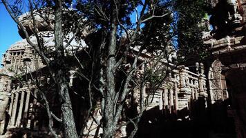 A tree in front of a stone building video